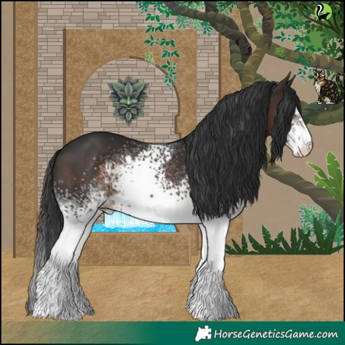 Horse Color:White Spotted Brown 