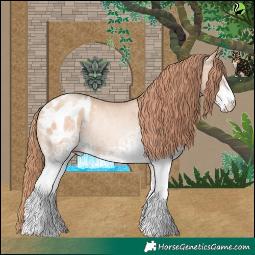 Horse Color:White Spotted Sable Champagne Pearl Blanket Rabicano 