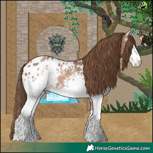Horse Color:White Spotted Brown Pearl Appaloosa 