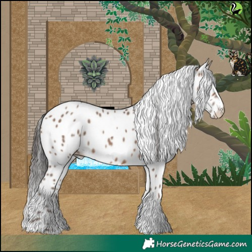 Horse Color:Sable Champagne Appaloosa 