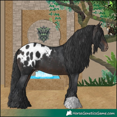 Horse Color:Brown Blanket 