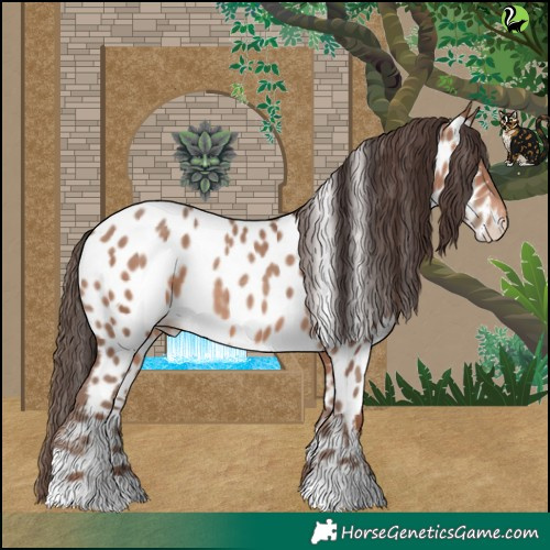 Horse Color:Sable Champagne Appaloosa 