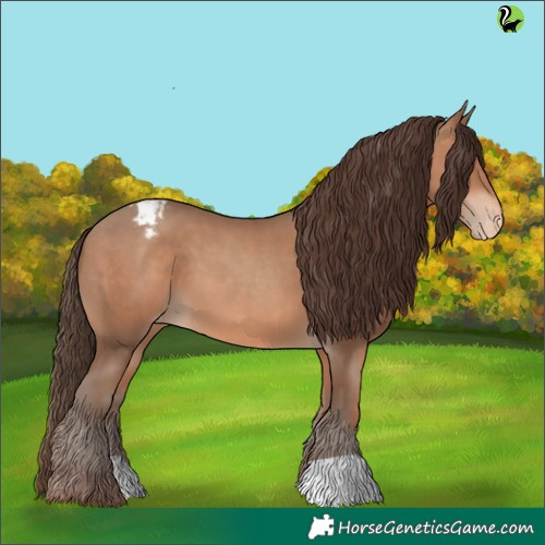 Horse Color:Sable Champagne Appaloosa 