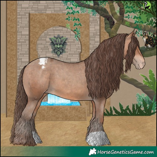 Horse Color:Sable Champagne Appaloosa 