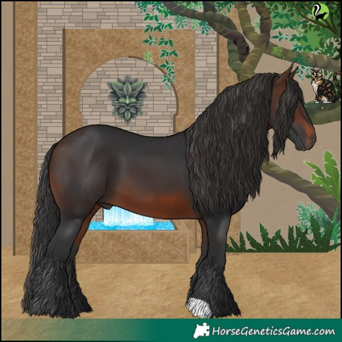 Horse Color:Brown 