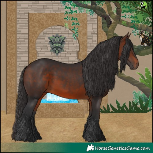 Horse Color:Brown 