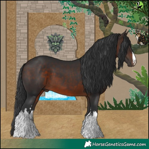 Horse Color:White Spotted Brown 