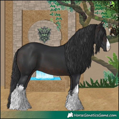 Horse Color:White Spotted Brown 