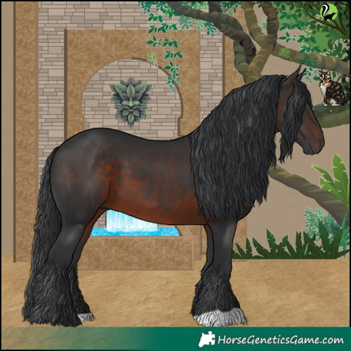 Horse Color:Brown 