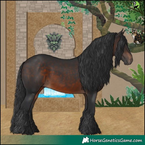 Horse Color:Brown 