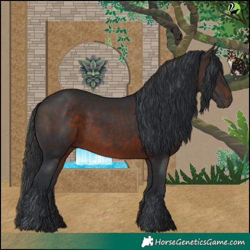 Horse Color:White Spotted Brown 