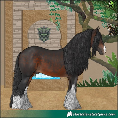 Horse Color:White Spotted Brown 