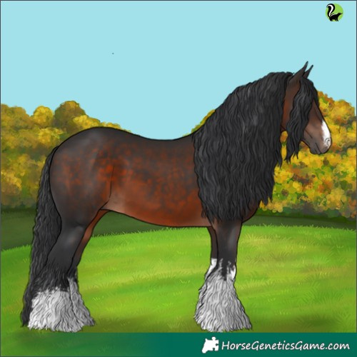 Horse Color:White Spotted Brown 