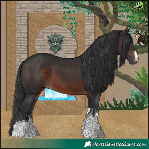 Horse Color:White Spotted Brown 