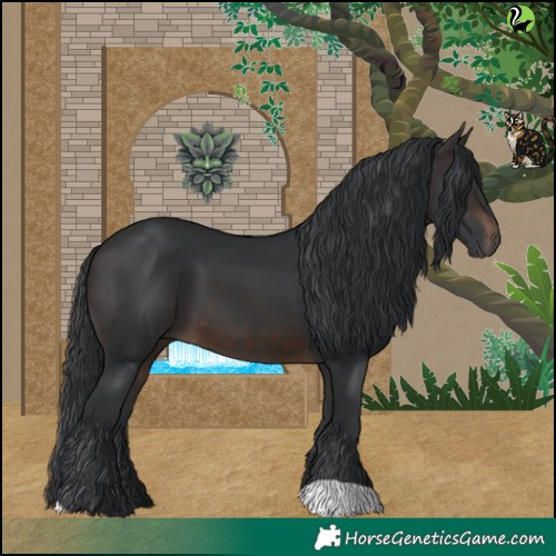 Horse Color:Brown 