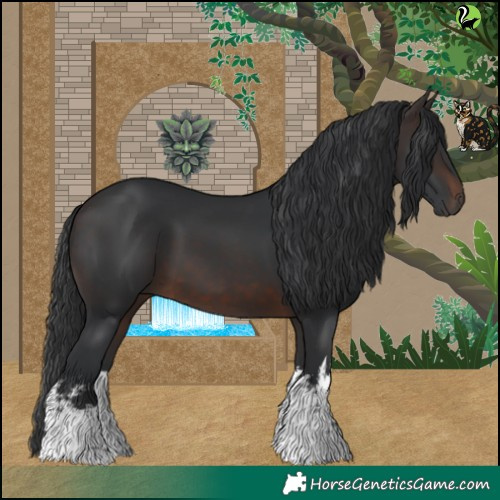 Horse Color:White Spotted Brown 