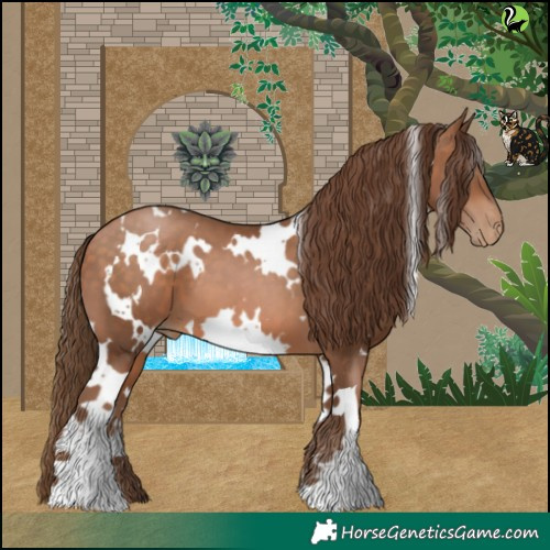 Horse Color:White Spotted Brown Pearl 
