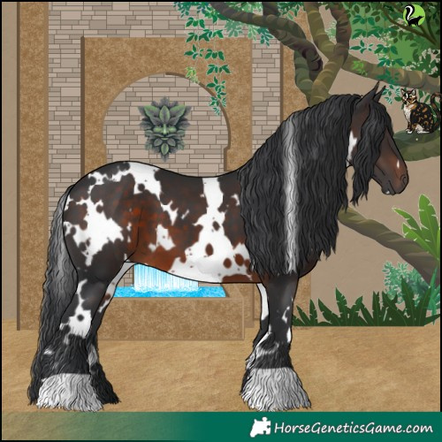 Horse Color:White Spotted Brown 