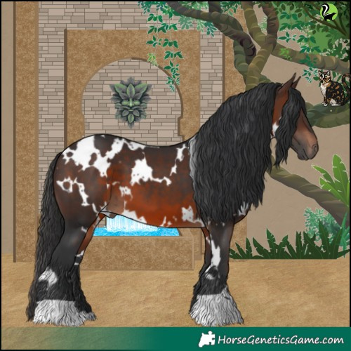 Horse Color:White Spotted Brown 