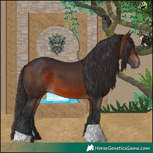 Horse Color:Brown 