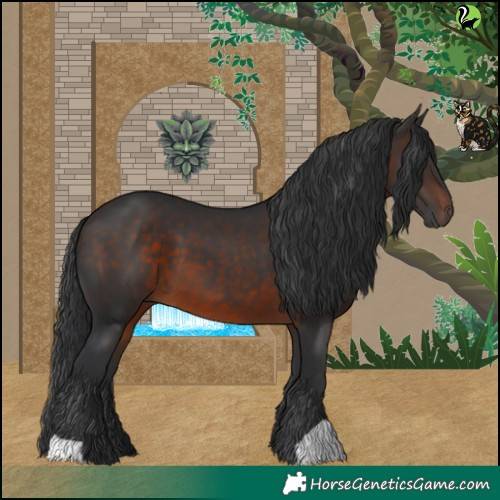 Horse Color:Brown 