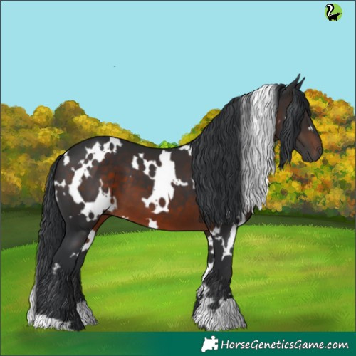 Horse Color:White Spotted Brown 
