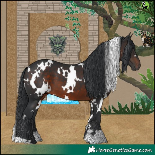 Horse Color:White Spotted Brown 