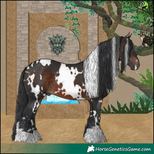 Horse Color:White Spotted Brown 