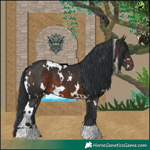 Horse Color:White Spotted Brown 