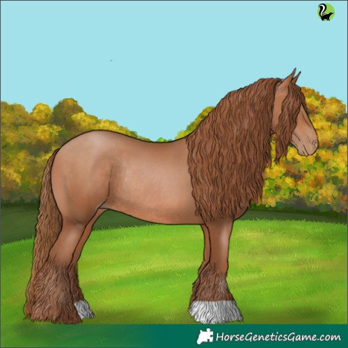 Horse Color:Brown Pearl Rabicano 