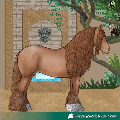 Horse Color:Brown Pearl Rabicano 