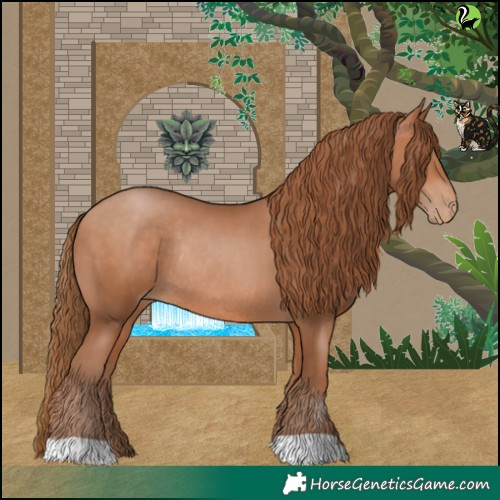 Horse Color:Brown Pearl Rabicano 