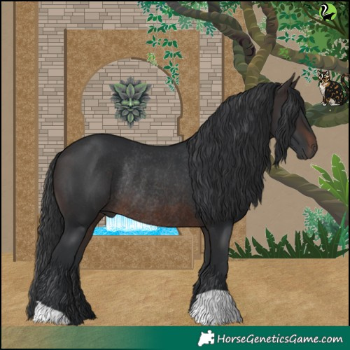 Horse Color:Brown Rabicano 