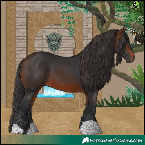 Horse Color:Brown 
