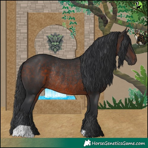 Horse Color:Brown Rabicano 