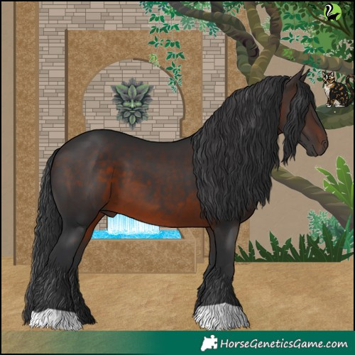 Horse Color:Brown 