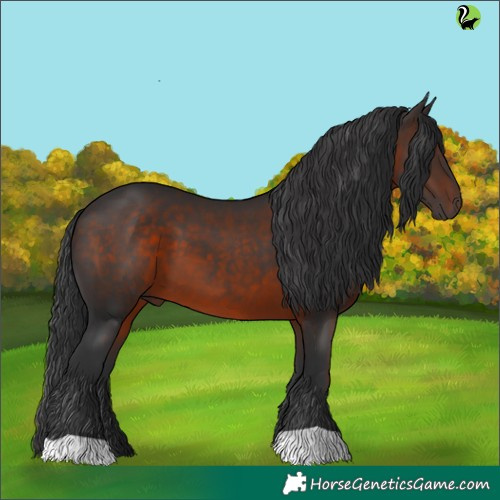 Horse Color:Brown 