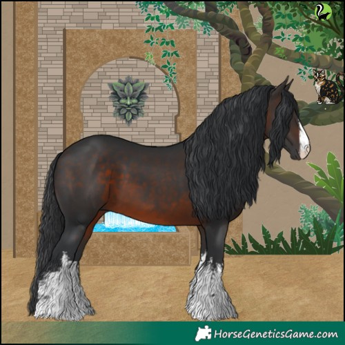 Horse Color:White Spotted Brown 