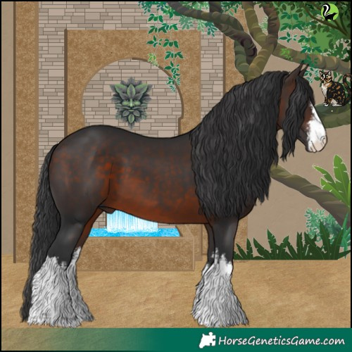 Horse Color:White Spotted Brown 