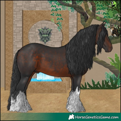 Horse Color:White Spotted Brown 