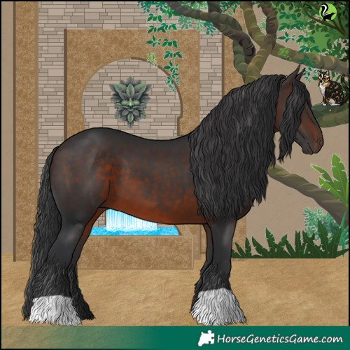 Horse Color:Brown 
