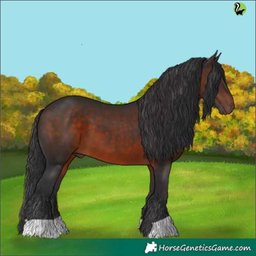 Horse Color:Brown 