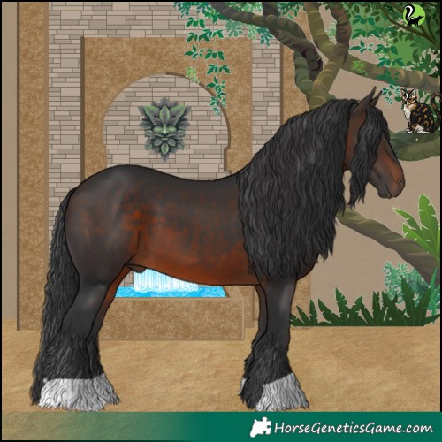 Horse Color:Brown 