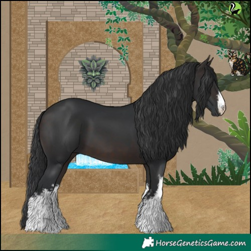 Horse Color:White Spotted Brown 
