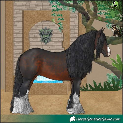Horse Color:White Spotted Brown 