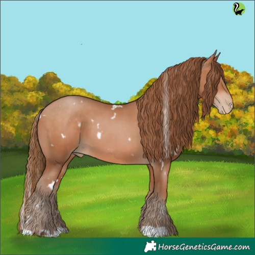 Horse Color:White Spotted Brown Pearl 