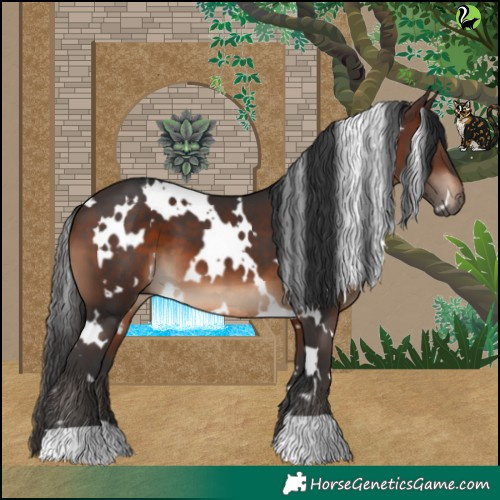 Horse Color:White Spotted Brown 