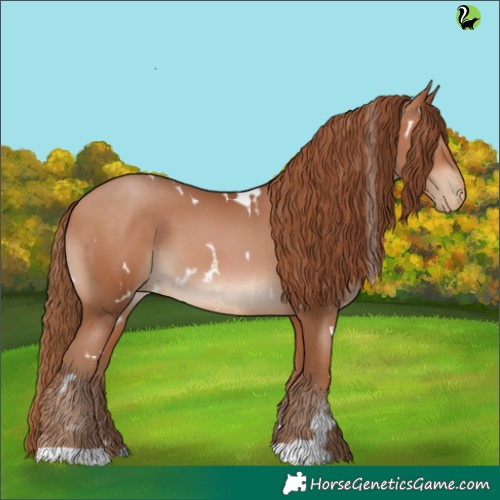 Horse Color:White Spotted Brown Pearl 