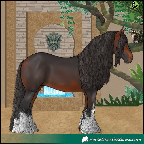 Horse Color:White Spotted Bay 