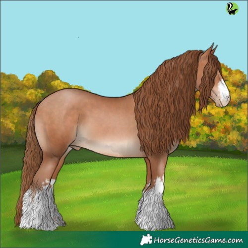 Horse Color:White Spotted Bay Pearl